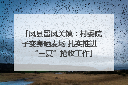 凤县留凤关镇：村委院子变身晒麦场 扎实推进“三夏”抢收工作