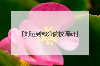 刘运到部分院校调研