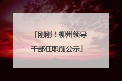 刚刚！柳州领导干部任职前公示