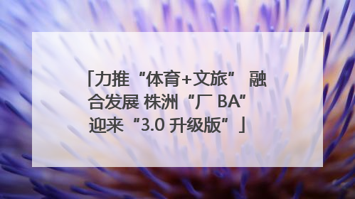 力推“体育+文旅” 融合发展 株洲“厂 BA”迎来“3.0 升级版”
