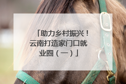 助力乡村振兴！云南打造家门口就业圈（一）