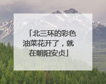 北三环的彩色油菜花开了，就在朝阳安贞