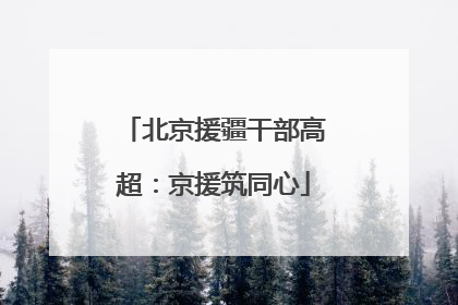 北京援疆干部高超：京援筑同心