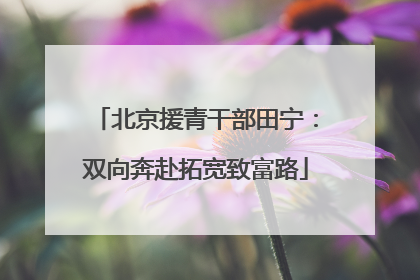 北京援青干部田宁：双向奔赴拓宽致富路