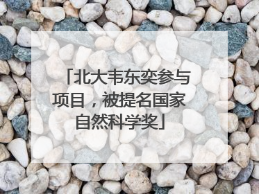 北大韦东奕参与项目，被提名国家自然科学奖
