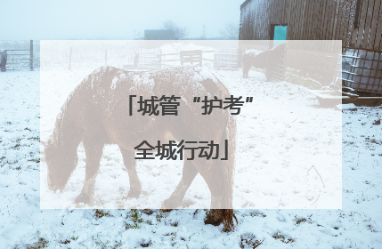 城管“护考” 全城行动