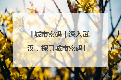城市密码｜深入武汉，探寻城市密码