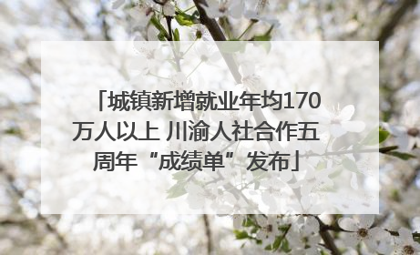 城镇新增就业年均170万人以上 川渝人社合作五周年“成绩单”发布