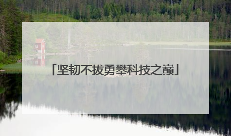坚韧不拔勇攀科技之巅