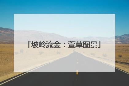 坡岭流金：萱草图景