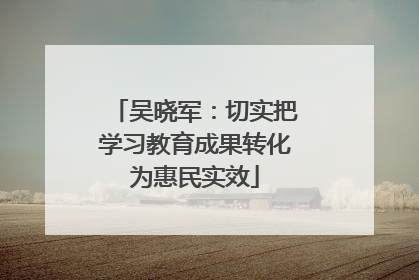 吴晓军：切实把学习教育成果转化为惠民实效