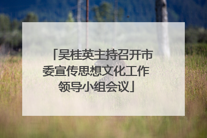 吴桂英主持召开市委宣传思想文化工作领导小组会议