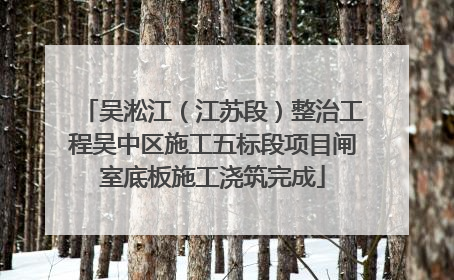 吴淞江（江苏段）整治工程吴中区施工五标段项目闸室底板施工浇筑完成
