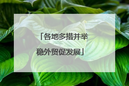 各地多措并举稳外贸促发展