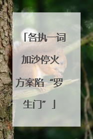 各执一词 加沙停火方案陷“罗生门”