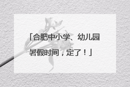 合肥中小学、幼儿园暑假时间，定了！