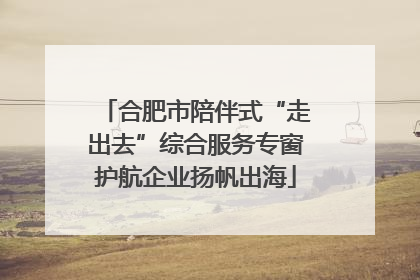 合肥市陪伴式“走出去”综合服务专窗护航企业扬帆出海