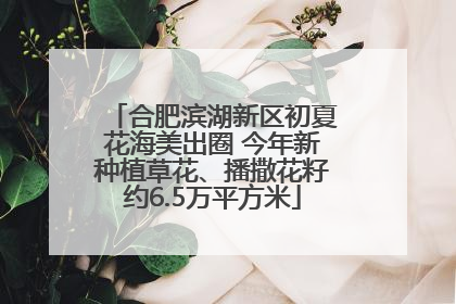 合肥滨湖新区初夏花海美出圈 今年新种植草花、播撒花籽约6.5万平方米