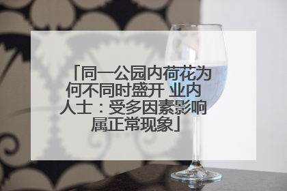 同一公园内荷花为何不同时盛开 业内人士：受多因素影响 属正常现象