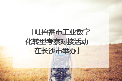 吐鲁番市工业数字化转型考察对接活动在长沙市举办