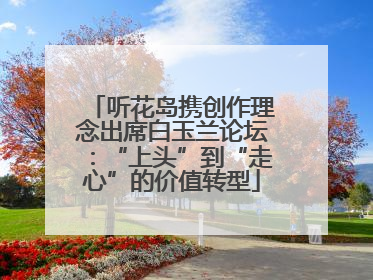 听花岛携创作理念出席白玉兰论坛：“上头”到“走心”的价值转型