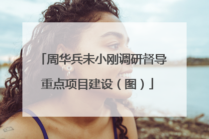 周华兵未小刚调研督导重点项目建设(图)
