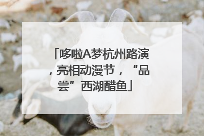 哆啦A梦杭州路演，亮相动漫节，“品尝”西湖醋鱼