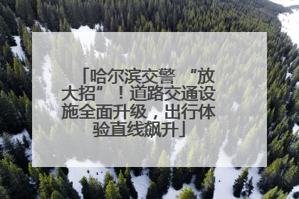 哈尔滨交警 “放大招”！道路交通设施全面升级，出行体验直线飙升