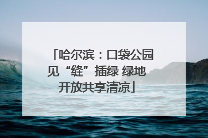 哈尔滨：口袋公园见“缝”插绿 绿地开放共享清凉
