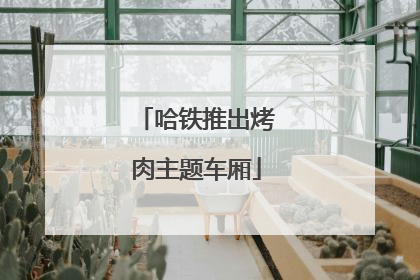 哈铁推出烤肉主题车厢