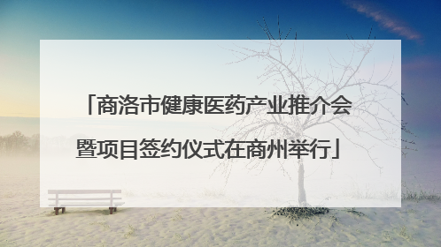 商洛市健康医药产业推介会暨项目签约仪式在商州举行
