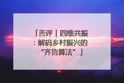 善评｜四维共振：解码乡村振兴的“齐鲁算法”