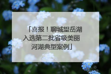 喜报！聊城望岳湖入选第二批省级美丽河湖典型案例