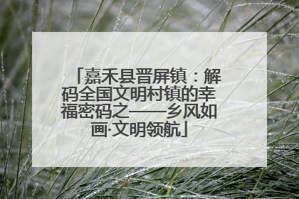 嘉禾县晋屏镇：解码全国文明村镇的幸福密码之——乡风如画·文明领航