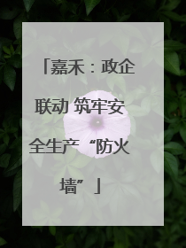 嘉禾：政企联动 筑牢安全生产“防火墙”