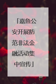 嘉鱼公安开展防范非法金融活动集中宣传
