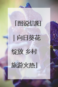 图说信阳｜向日葵花绽放 乡村旅游火热