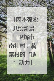 固本强农 共绘新景 ︳卫辉市南社村：蔬菜村的“链”动力