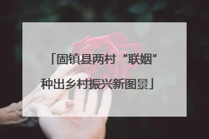 固镇县两村“联姻”种出乡村振兴新图景