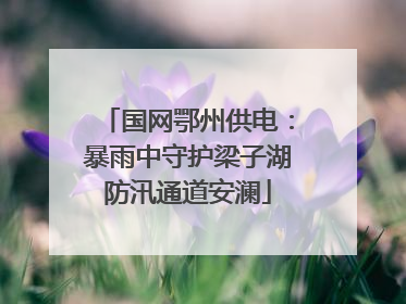 国网鄂州供电：暴雨中守护梁子湖防汛通道安澜