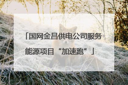 国网金昌供电公司服务能源项目“加速跑”
