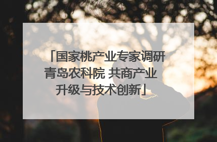 国家桃产业专家调研青岛农科院 共商产业升级与技术创新