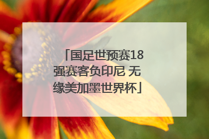 国足世预赛18强赛客负印尼 无缘美加墨世界杯