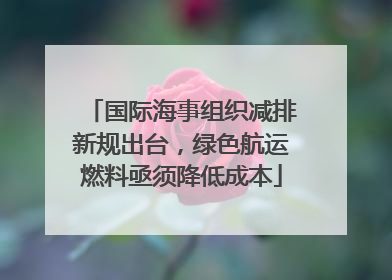 国际海事组织减排新规出台，绿色航运燃料亟须降低成本
