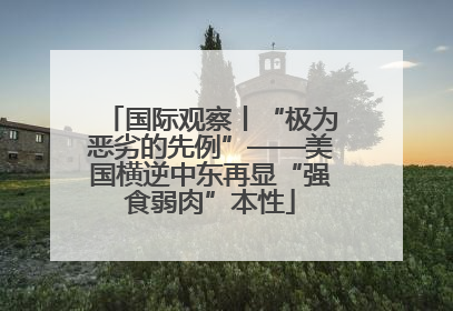 国际观察丨“极为恶劣的先例”——美国横逆中东再显“强食弱肉”本性