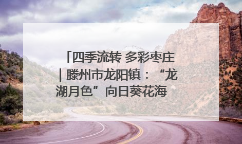 四季流转 多彩枣庄｜滕州市龙阳镇：“龙湖月色”向日葵花海 绘就乡村振兴新画卷