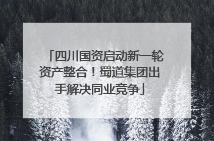 四川国资启动新一轮资产整合！蜀道集团出手解决同业竞争