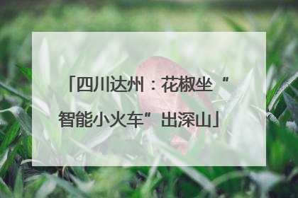 四川达州：花椒坐“智能小火车”出深山