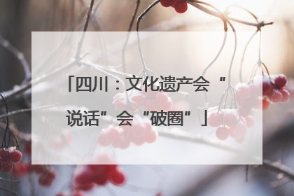 四川：文化遗产会“说话”会“破圈”