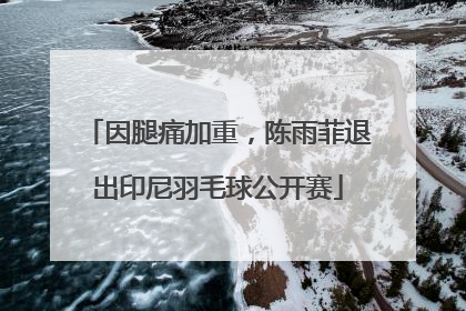 因腿痛加重，陈雨菲退出印尼羽毛球公开赛
